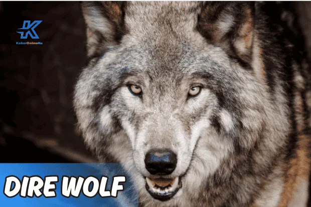 Dire Wolf Misteri Serigala Raksasa yang Kini Punah Kabaronlineku.my.id