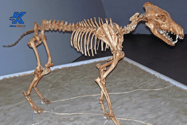 Fosil dan Catatan Sains