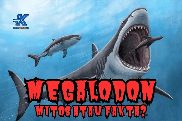 Hiu Megalodon Masih Hidup atau Telah Punah Ini Mitos dan Fakta Terbarunya Kabaronlineku.my.id