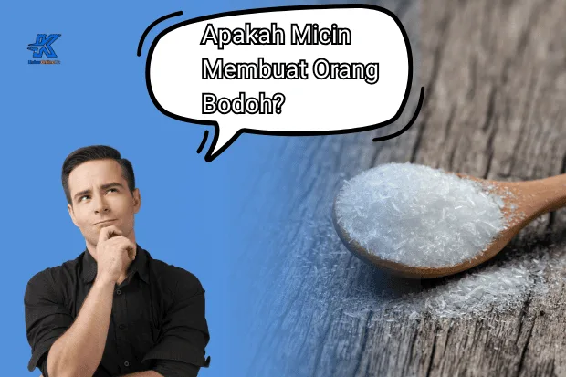 Benarkah Makan Micin Bisa Jadi Bodoh Menelisik Mitos dan Faktanya Kabaronlineku.my.id