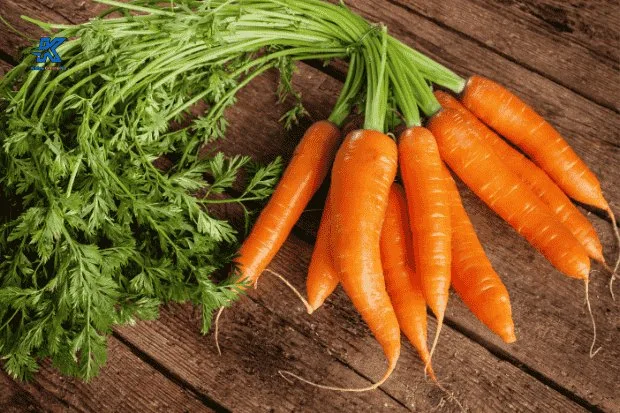 Manfaat Wortel untuk Mata dan Pentingnya Kesadaran Menjaga Penglihatan Kabaronlineku.my.id