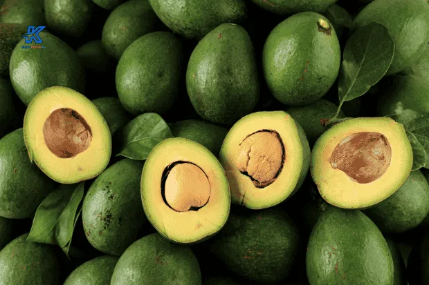 Rahasia Sehat dan Enak di Balik Manfaat Buah Alpukat untuk Tubuhmu Kabaronlineku.my.id