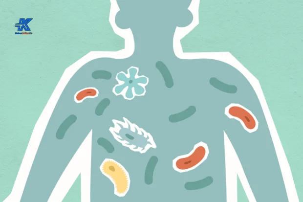 Bahaya yang Ditimbulkan oleh Kuman