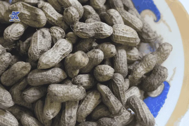 Kacang Rebus dan Gaya Hidup Masa Kini