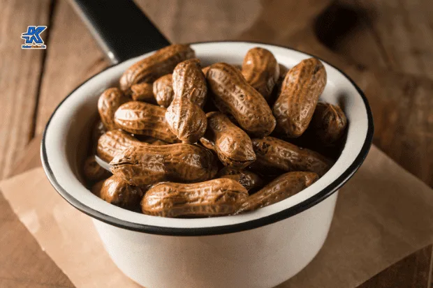 Peran Kacang Rebus dalam Keseharian