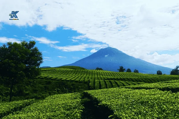 Kenapa Tempat Ini Begitu Istimewa