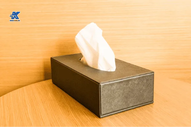 Manfaat Menghemat Tisu untuk Diri Sendiri dan Bumi