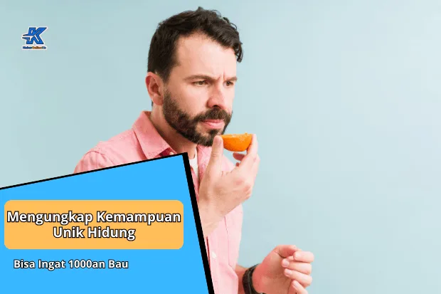 Mengungkap Kemampuan Unik Hidung Bisa Ingat 1000an Bau