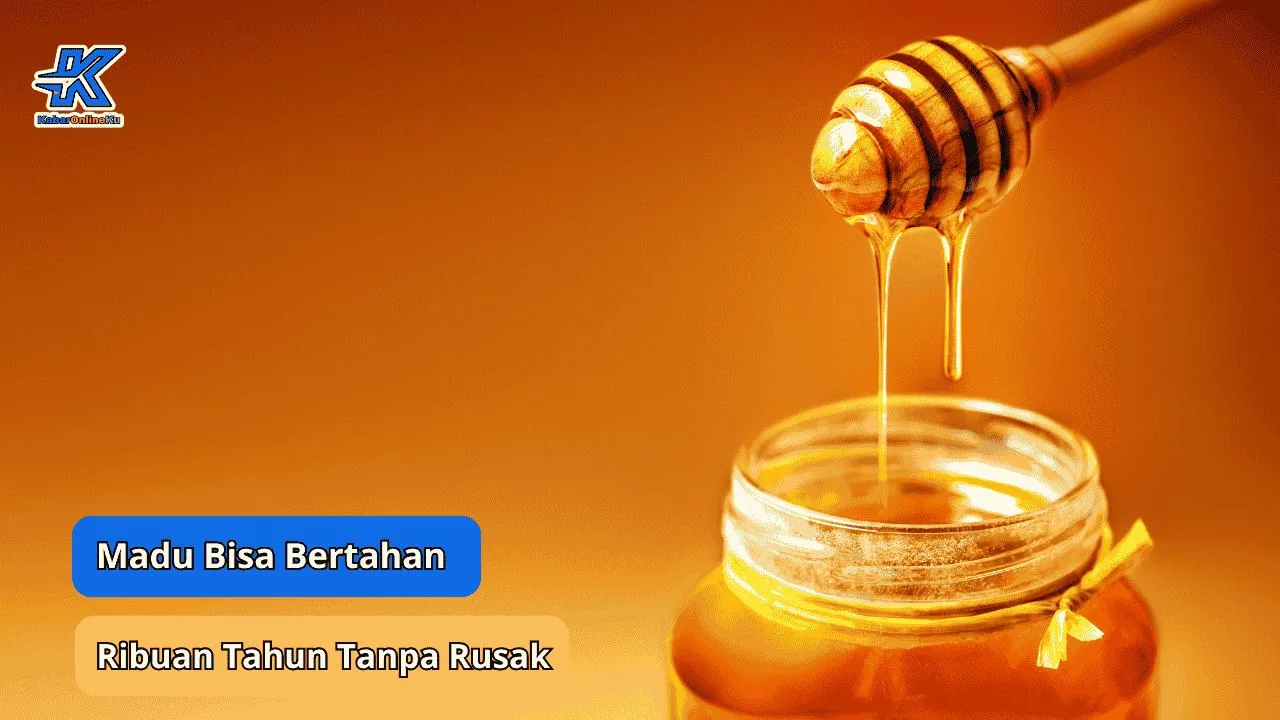 Bikin Penasaran, Ini Alasan Mengejutkan Kenapa Madu Bisa Bertahan Ribuan Tahun Tanpa Rusak