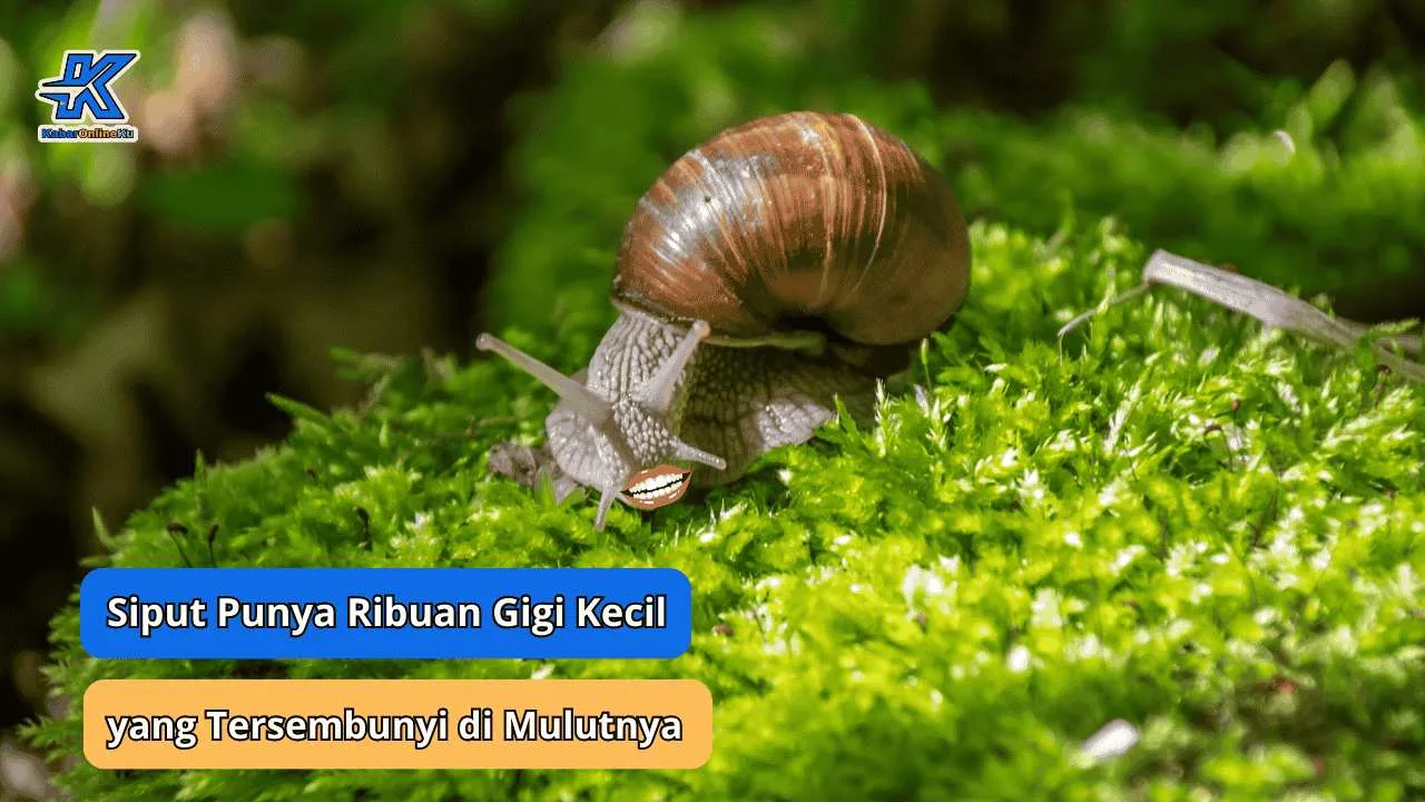 Jarang Disadari, Siput Punya Ribuan Gigi Kecil yang Tersembunyi di Mulutnya